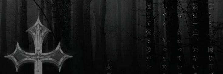noctvlure's profile banner image