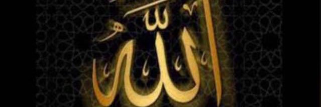 aiedeldwas's profile banner image