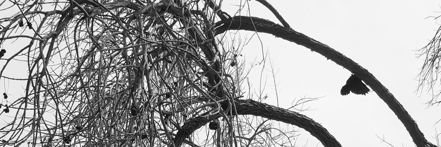 carey2416's profile banner image