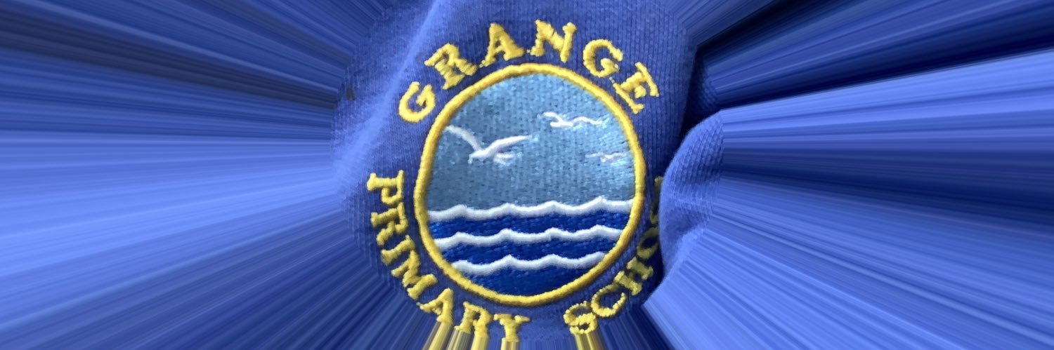 seagull_sammy's profile banner image
