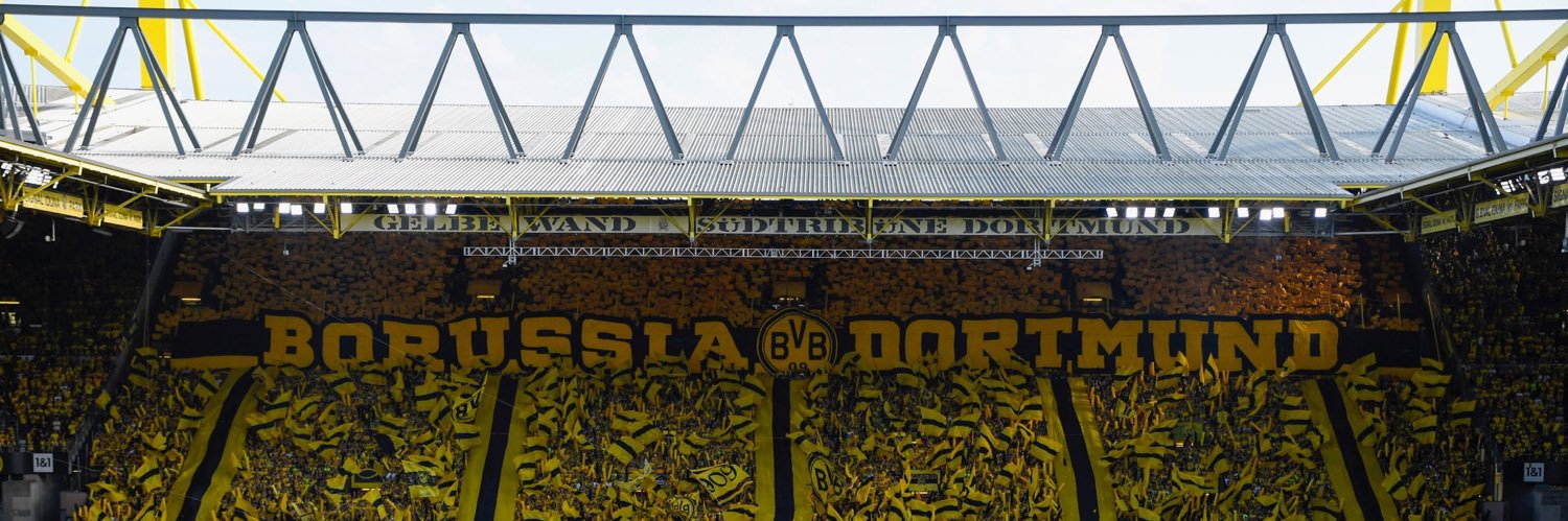 Polarix | 🖤💛 banner