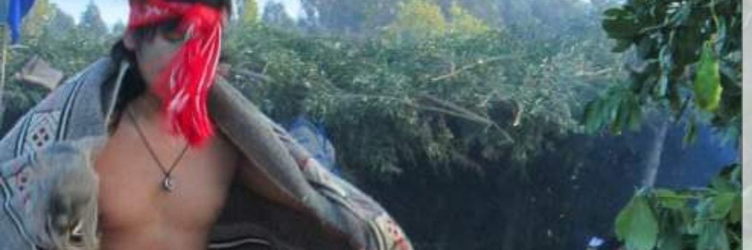 politac's profile banner image
