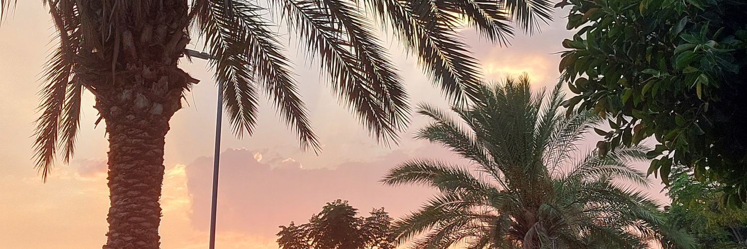 hilalgenc_'s profile banner image