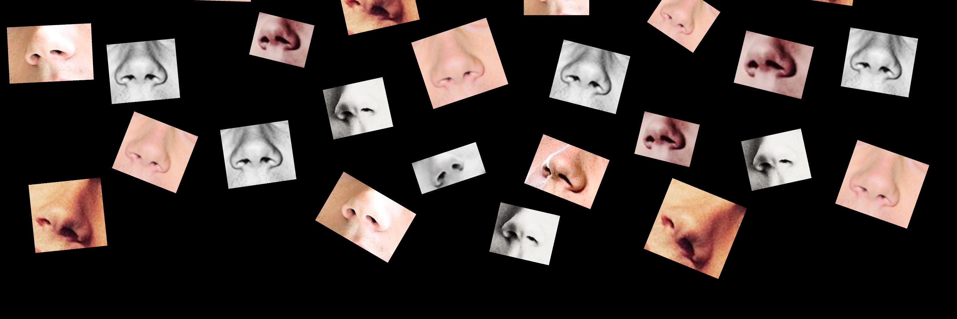 lilnugget0's profile banner image