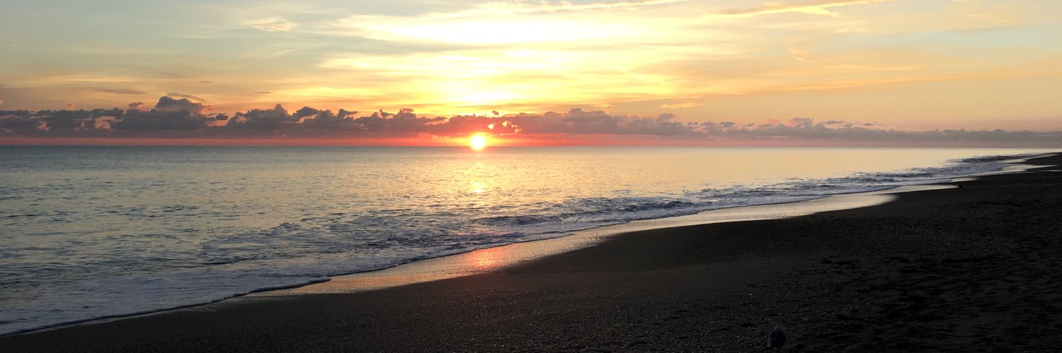 Michael Bourg banner