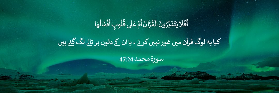 H A L Y N O O R 🇵🇰🇵🇸 banner