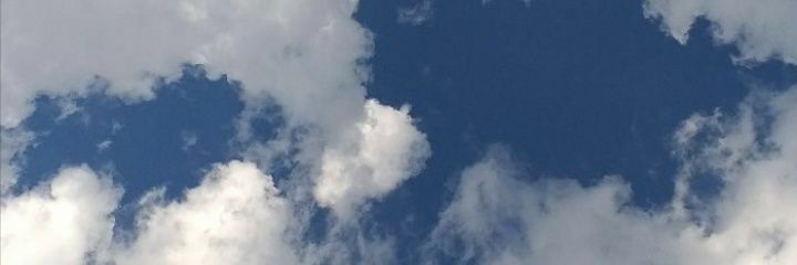 Die Nase banner