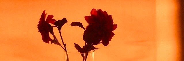 Diana♡ banner