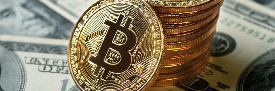 bitcoinbenny702's profile banner image