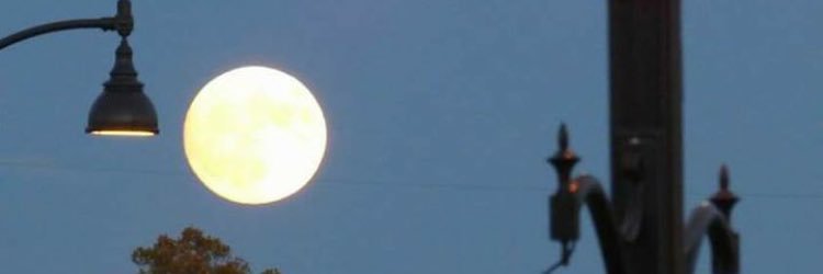 MoonMaidden's profile banner image