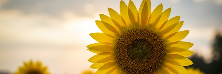 짱구는 옷말려~ 선팔 맞팔 100% banner