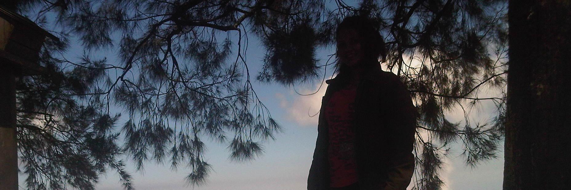 yluznarf's profile banner image