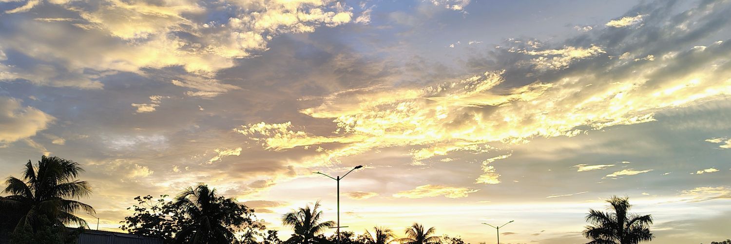 Cristian Manzur banner