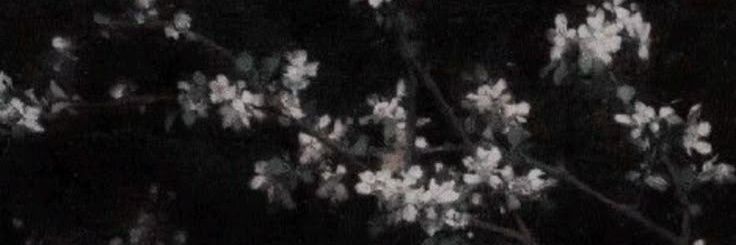 mariaktty_'s profile banner image