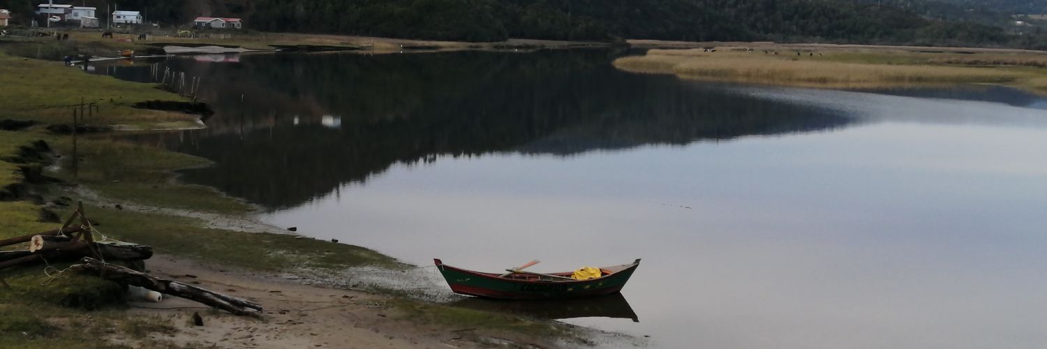 maseba77's profile banner image