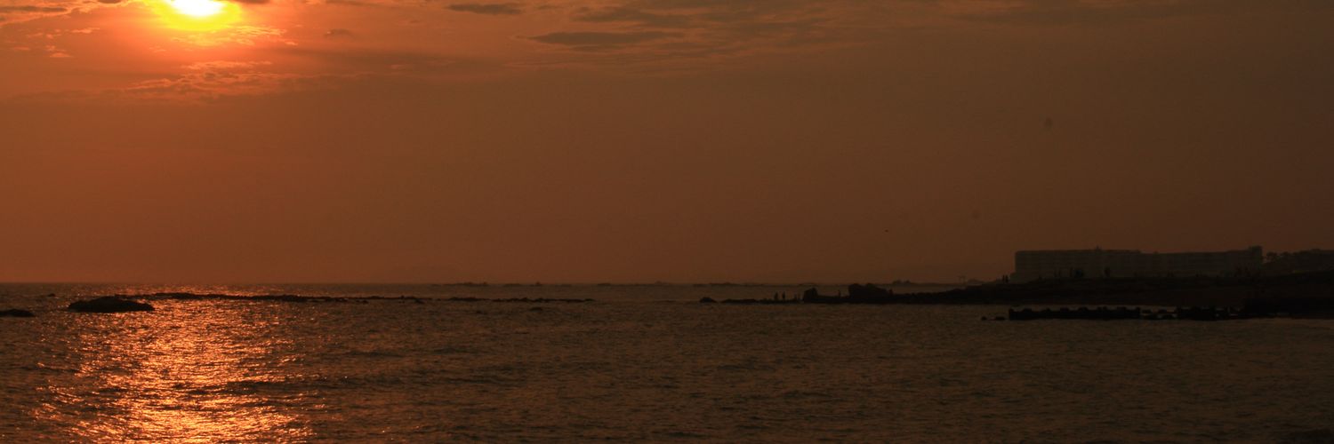 わさび醤油ぼっけ banner