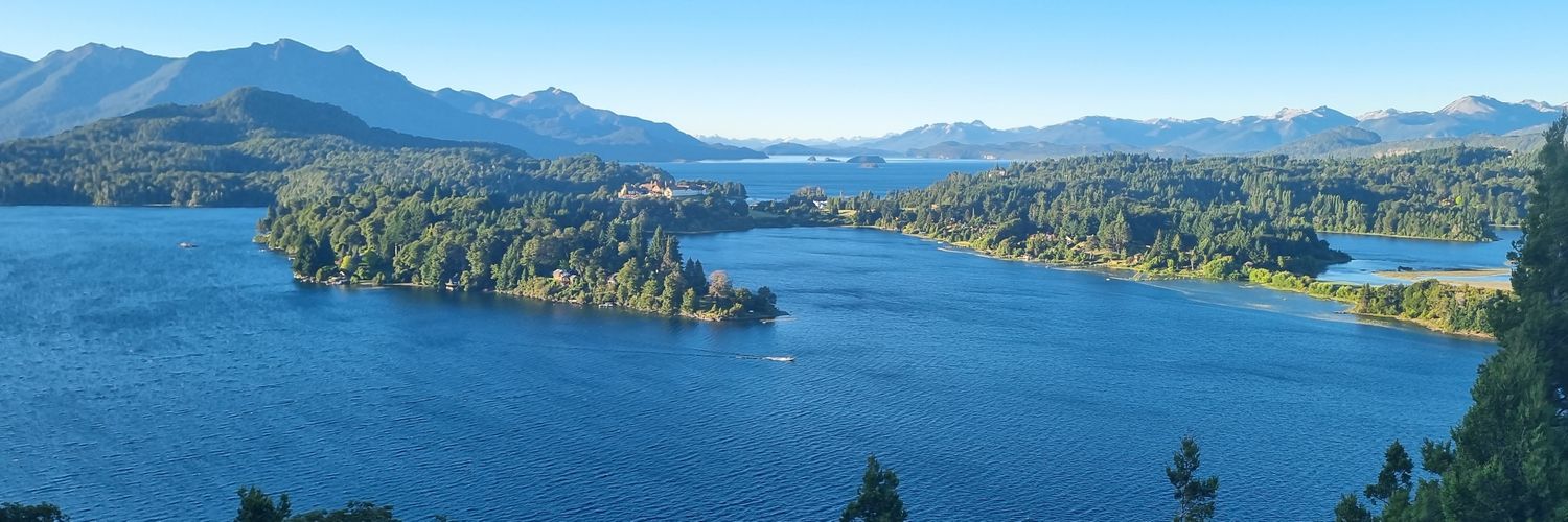 Maximiliano Vuskovic banner