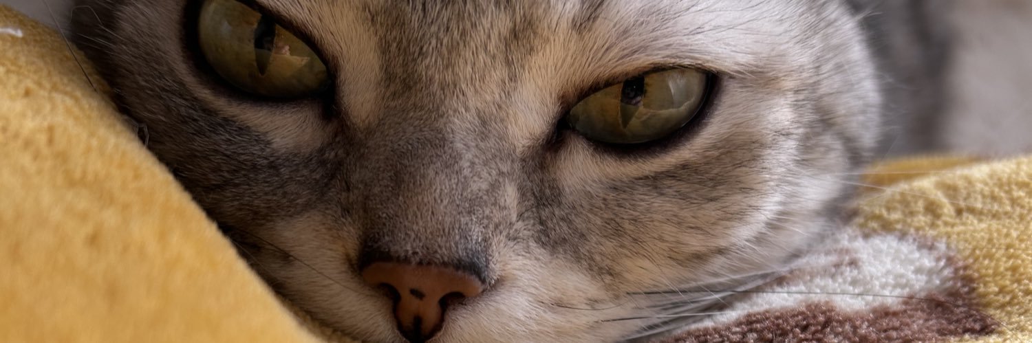 s7hr7's profile banner image
