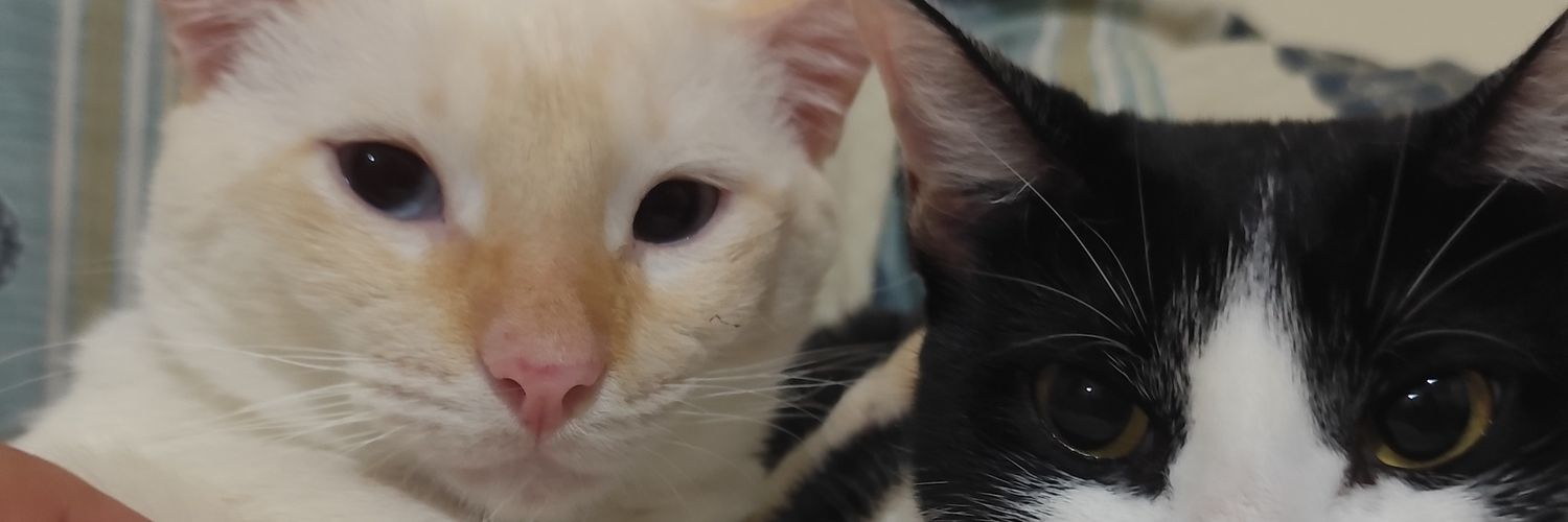 Fannycornio's profile banner image