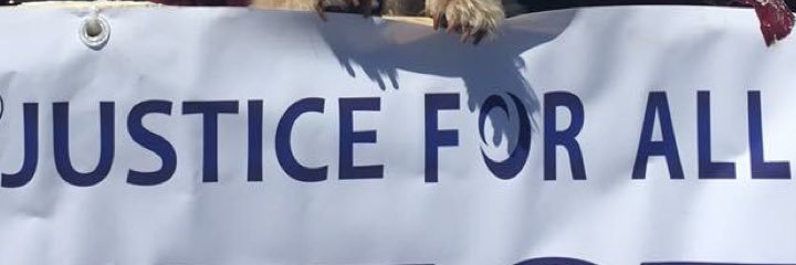 Candice Lively banner