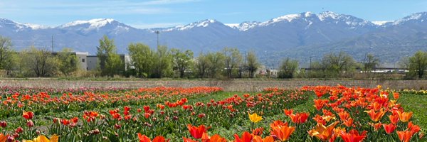 b_neigh Profile Banner