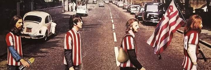 Pingouin 🇪🇦🇲🇫🇨🇭🇵🇸 banner