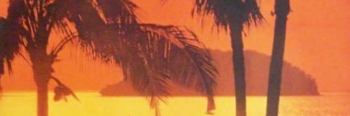 mistvver's profile banner image