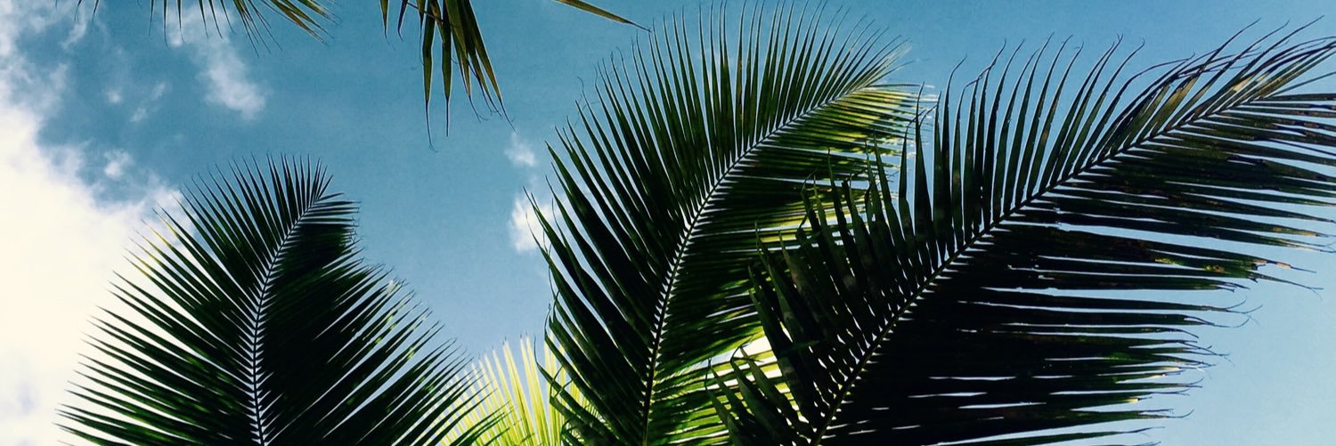 FlorAvila02's profile banner image
