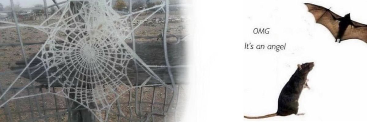 resonanscer's profile banner image