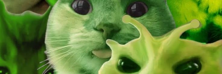 flc_____'s profile banner image