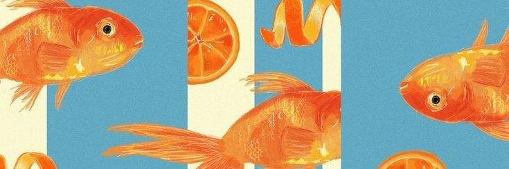 cel¡ 🪸 fastrep ke wa banner