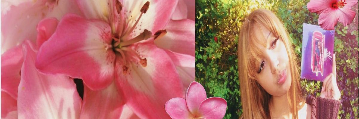 prin⁷ is seeing bts tpa banner