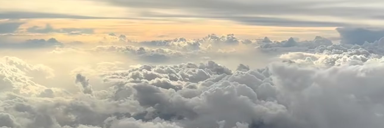 نفیسه عبدالهی's banner
