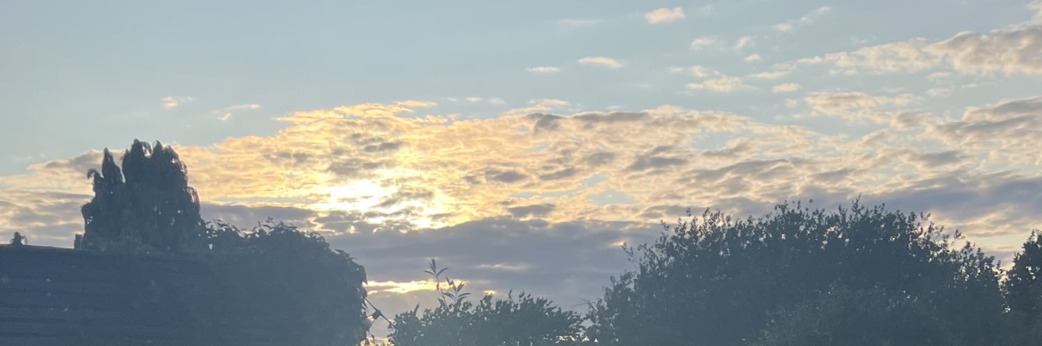 5erene_'s profile banner image