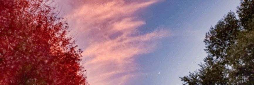 Rising Monark banner
