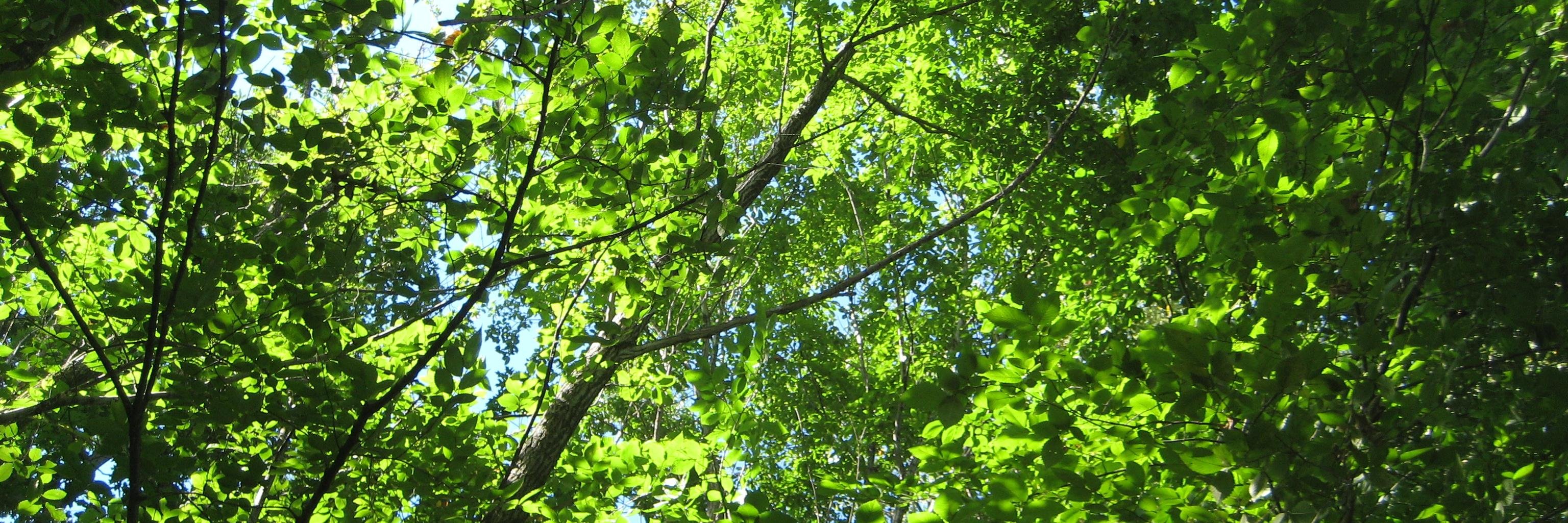 Ryan_Bisson's profile banner image