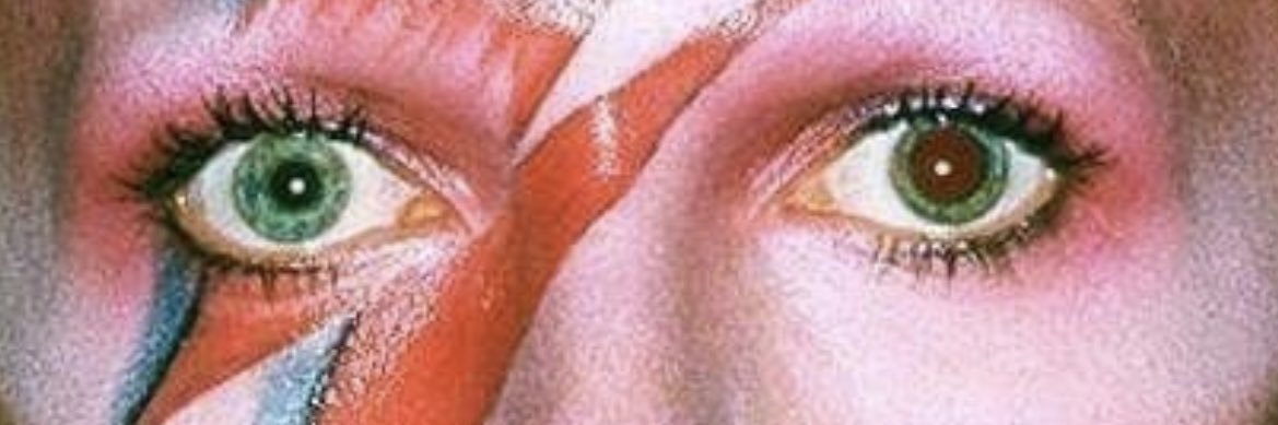 TraceyFoulis's profile banner image