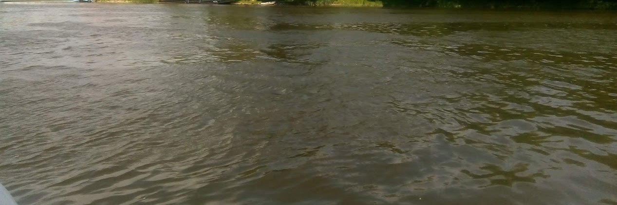 Matze Kazama 🇩🇪 🇵🇱 banner