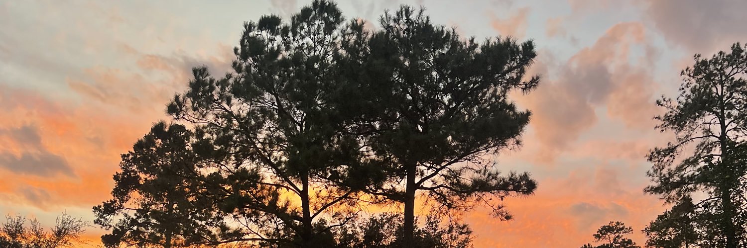 ZacharyKeh's profile banner image