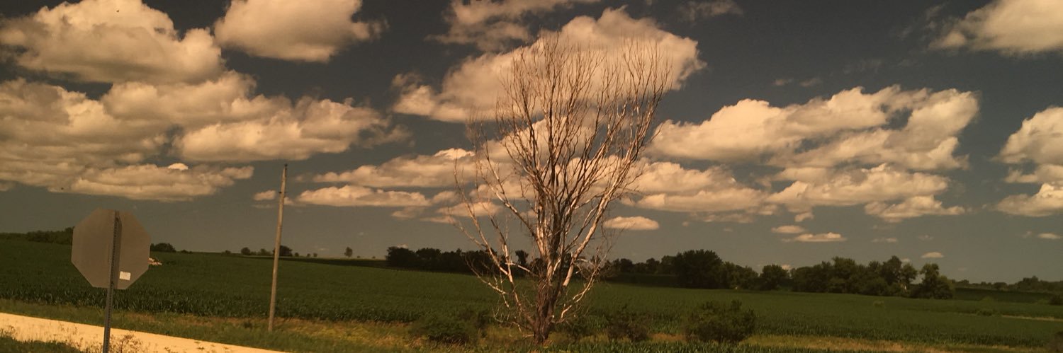 kellydeancole's profile banner image