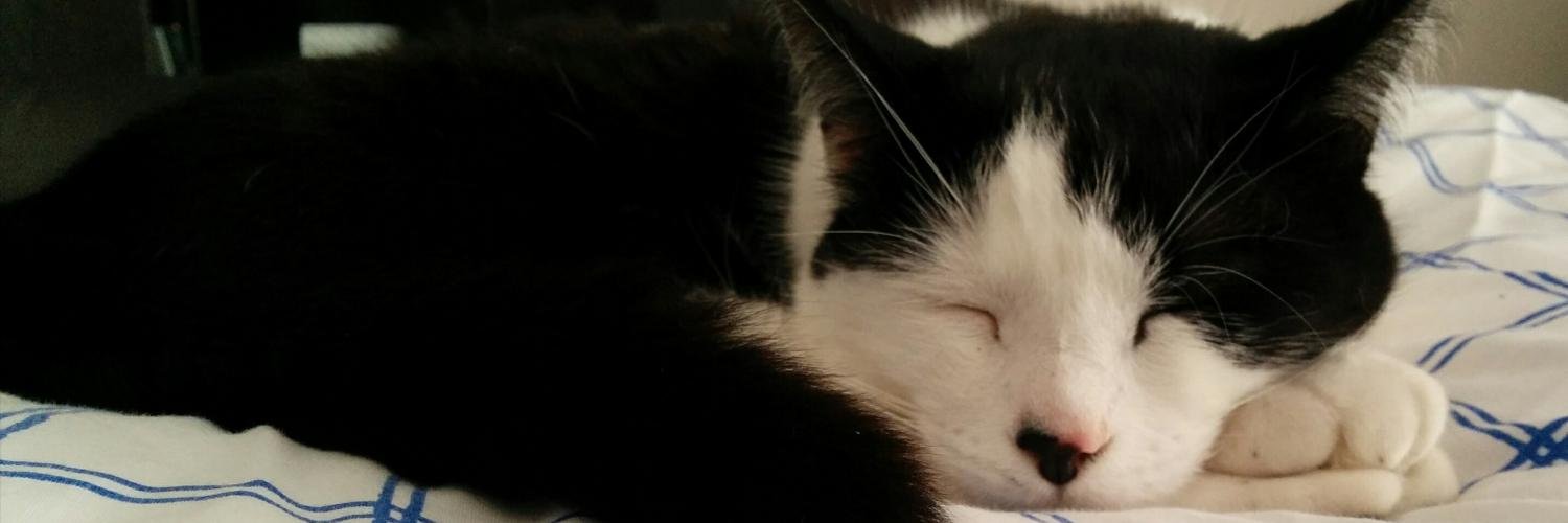 biped_owner's profile banner image