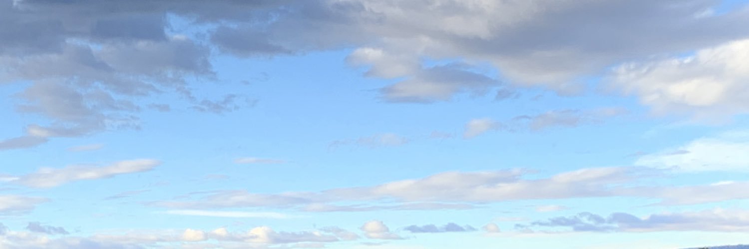 rebecavazos's profile banner image