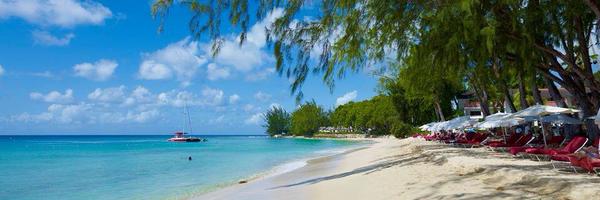 RealTonyManning Profile Banner