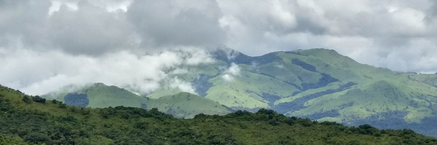 Polu2012's profile banner image
