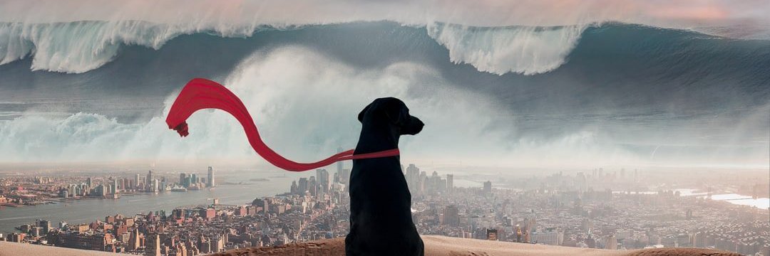 fadiu2_10's profile banner image