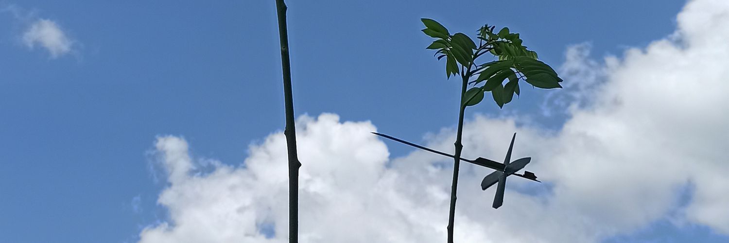 abda19's profile banner image