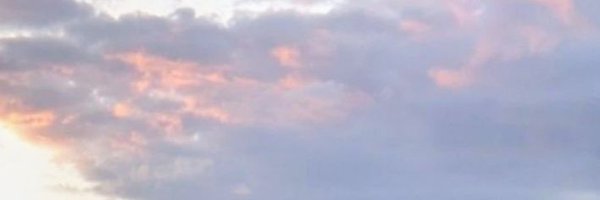 trpwolff Profile Banner