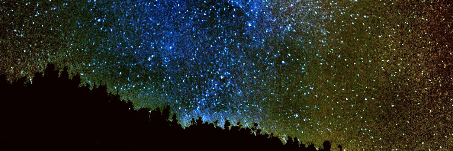 PsychoNotLiz's profile banner image