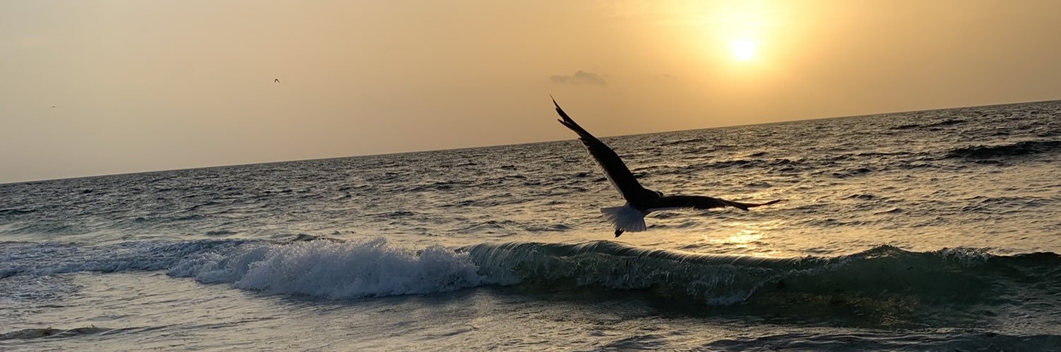 pattyttam's profile banner image