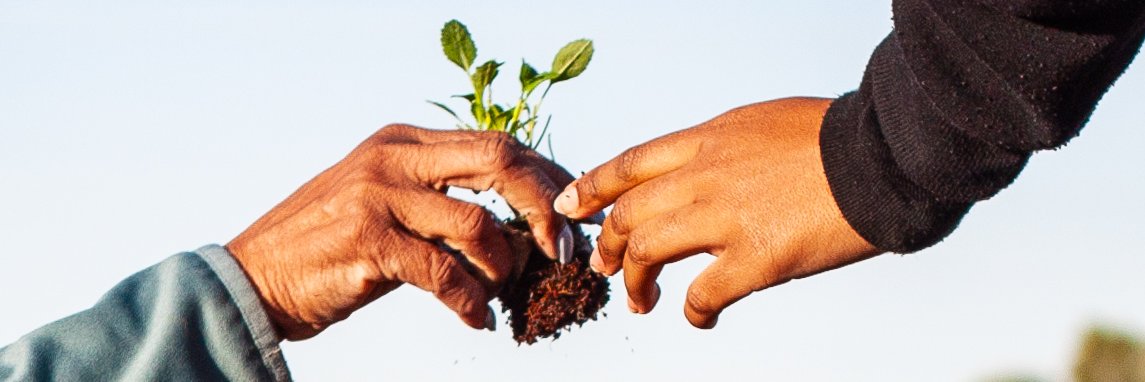 Project Roots AZ banner